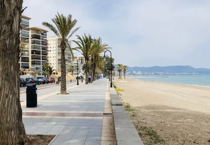 Paseo marítimo con palmeras y edificios modernos junto a la playa del Gurugú. El mar azul y las montañas al fondo crean un paisaje sereno.
