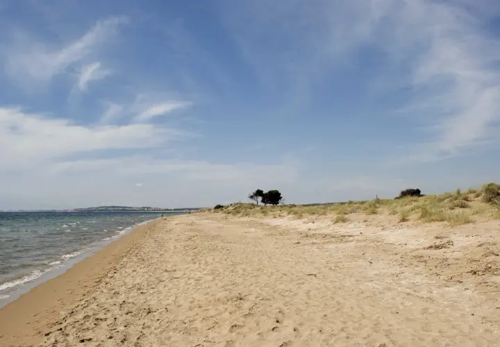 Arena dorada y mar azul en la playa el pinet, con dunas y pinos solitarios bajo un cielo nublado.