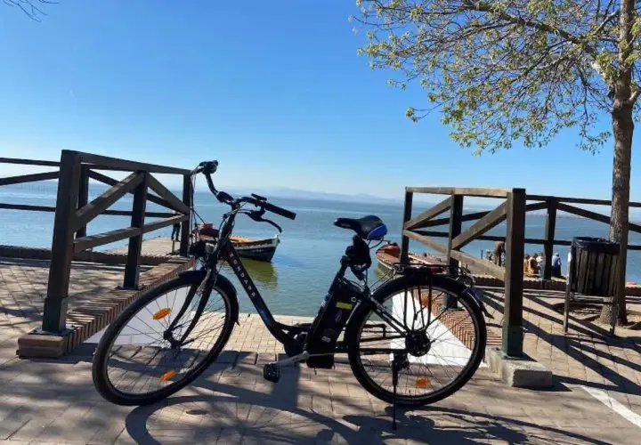 Bicicleta eléctrica lista para recorrer el carril bici de Valencia junto a la Albufera.