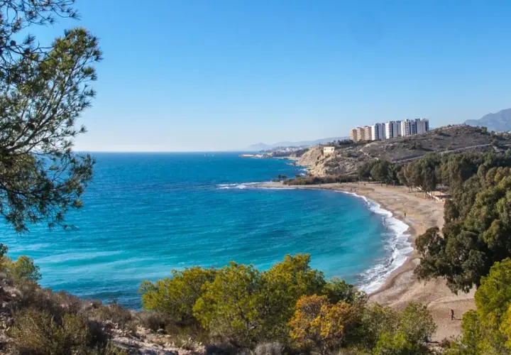 Vista panorámica de la playa del Torres, con aguas turquesas, arena, árboles y edificios en la colina.