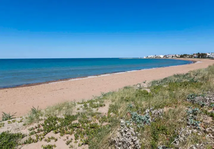 La playa Els Molins se extiende con arena dorada y vegetación costera bajo un cielo azul. Al fondo, se vislumbran casas blancas y un faro.