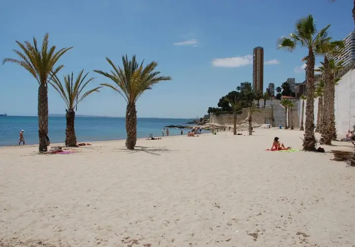 Arena dorada y palmeras en la playa blanca Alicante. Gente disfrutando del sol y el mar Mediterráneo.