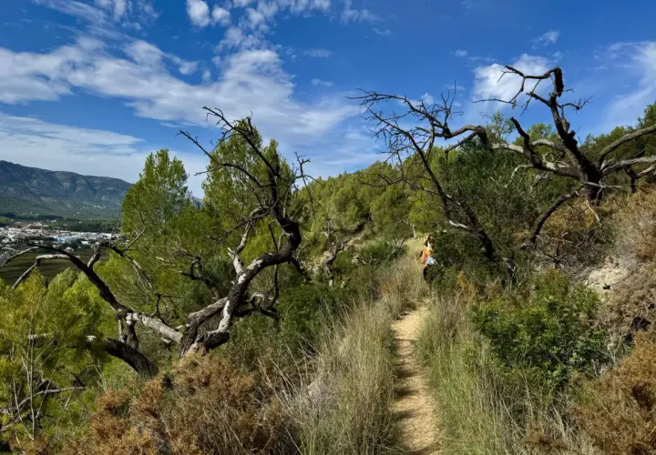 Sendero en el coll de rates, con vegetación seca y árboles retorcidos. Al fondo, un pueblo y montañas bajo un cielo azul con nubes.