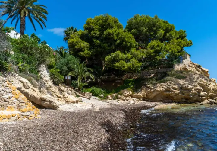 La cala nostra, con rocas doradas y vegetación exuberante, invita a la calma. El mar azul acaricia la orilla cubierta de algas.