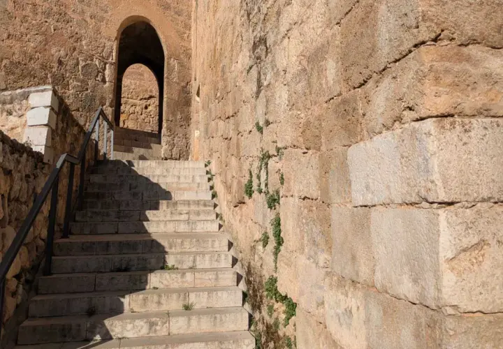 Escaleras de piedra ascienden hacia un arco en el castillo de Requena. La antigua muralla de piedra, con vegetación creciendo en sus grietas, proyecta sombras.