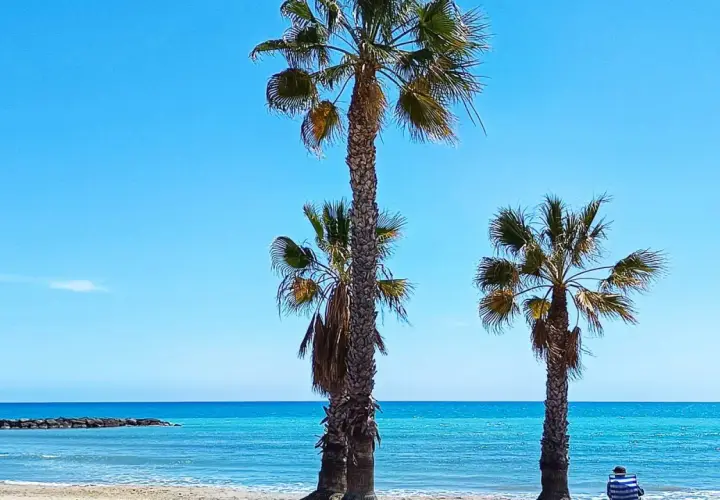 Palmeras en la playa del cerezo, con el mar turquesa y un cielo azul intenso. Una persona sentada en una silla mira el horizonte.