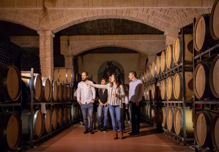 Un grupo de personas disfruta de catas en Alicante, aprendiendo sobre el proceso de elaboración del vino en una bodega con barricas de roble.