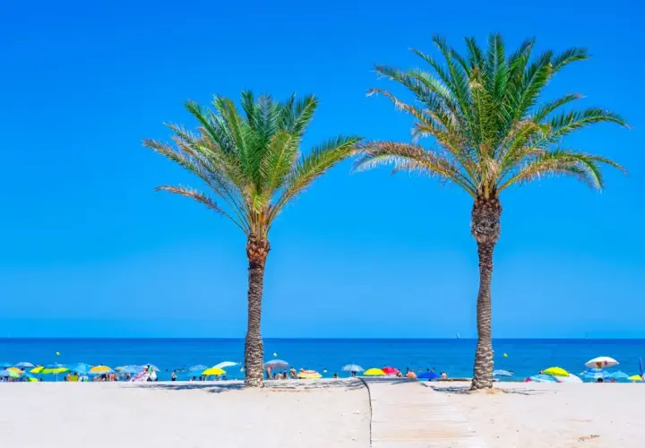 Dos palmeras flanquean un camino de madera hacia las playas de Costa Blanca, llenas de sombrillas y gente disfrutando del sol.