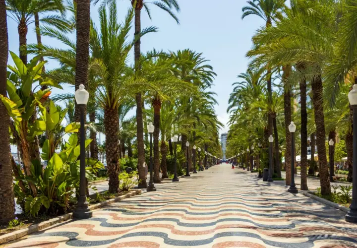 Una soleada promenada alicante con palmeras a ambos lados y un suelo de mosaico ondulado.