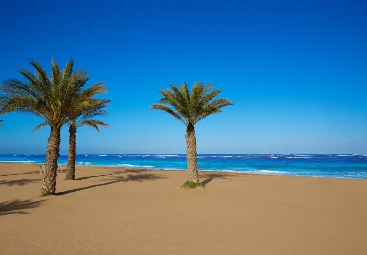 Palmeras en la arena dorada, mar azul turquesa y cielo despejado. Un paraíso que evoca las mejores playas de Dénia.