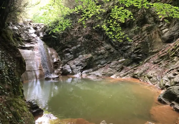 Un rincón secreto en el gorg dels Banyuts, con una cascada que alimenta una poza de aguas verdes rodeada de rocas y vegetación exuberante.