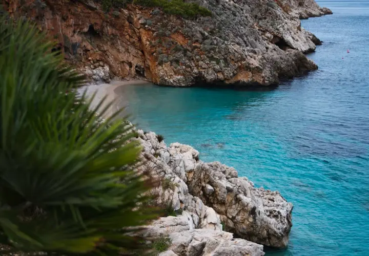 Una cala escondida en el mar de Jávea, con aguas turquesas y rocas escarpadas. Palmeras en primer plano añaden un toque exótico.