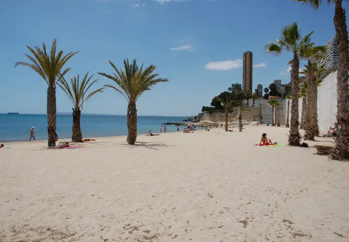 Gente disfruta del sol en la playa albufereta, con palmeras y edificios modernos de fondo.