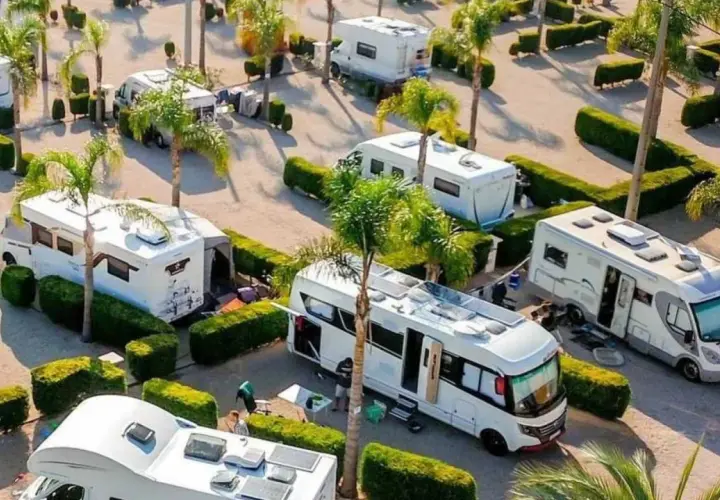 Un camping soleado en Xeraco con varias autocaravanas aparcadas entre palmeras y setos.