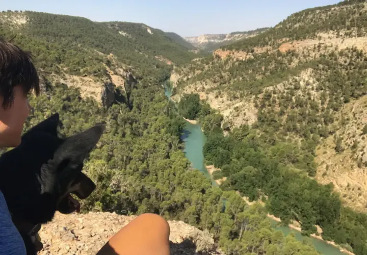 Un perro y una persona contemplan los impresionantes cañones del Júcar, con un río turquesa serpenteando entre montañas cubiertas de pinos.