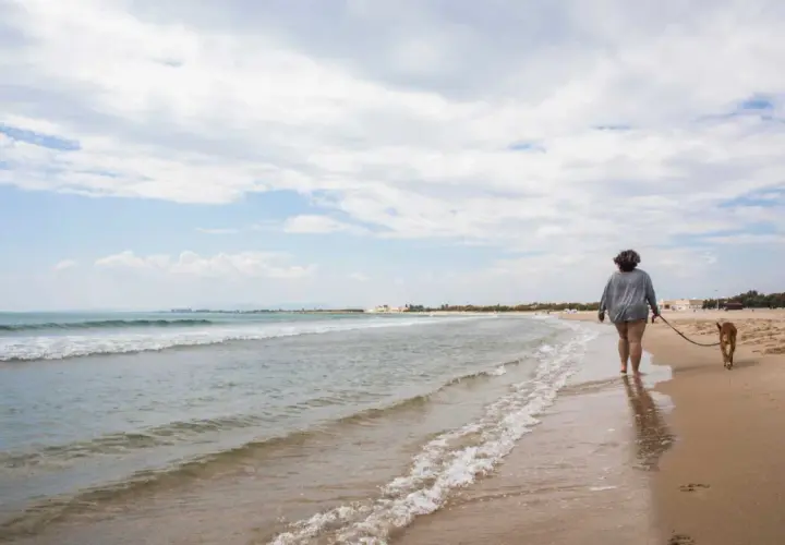 Una persona pasea con su perro por la orilla de la playa de Pinedo, con el mar y el cielo nublado de fondo.
