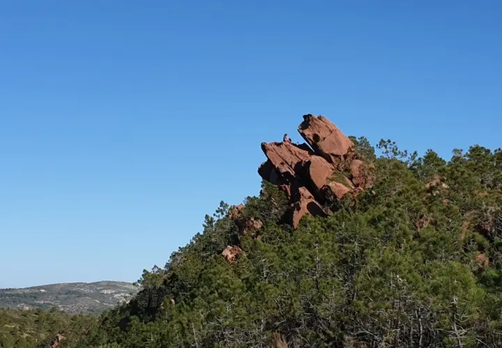 Persona sentada en la cima de una roca rojiza en el **Desert de les Palmes**, rodeada de pinos y bajo un cielo azul intenso.
