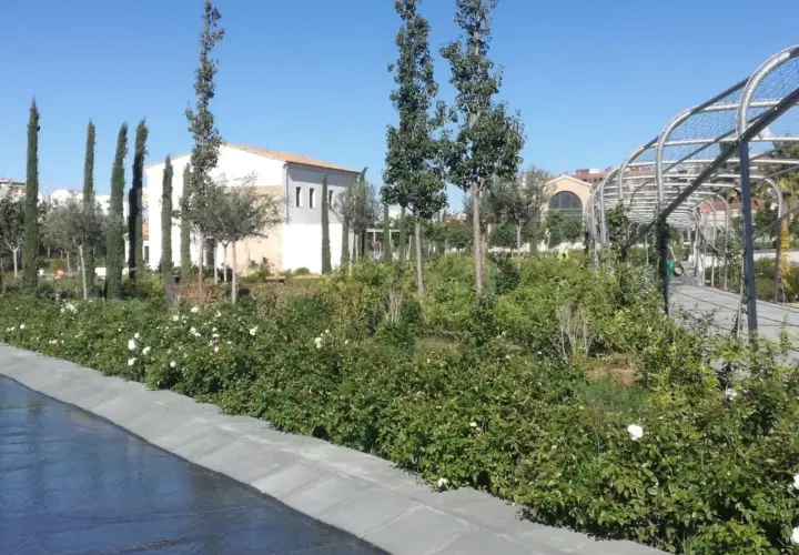 Un paseo por el parque central Valencia, con rosales en flor y un arco metálico.