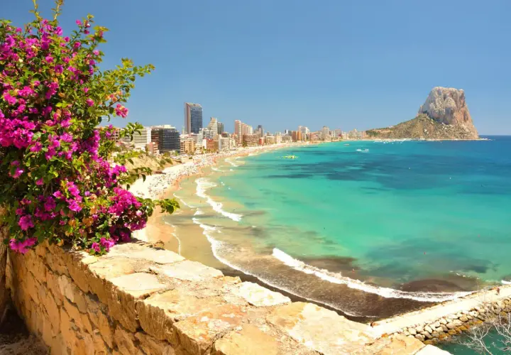 Vista panorámica de la mejor playa de Calpe, con su arena dorada, aguas turquesas y el imponente Peñón de Ifach. Flores moradas en primer plano.