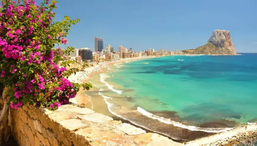 Vista panorámica de la playa del arenal-bol, con aguas turquesas, arena dorada, edificios altos y el Peñón de Ifach al fondo. Flores rosas en primer plano.