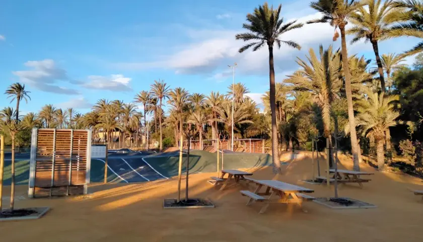 Un día soleado en el palmeral de Alicante, con palmeras altas, un circuito para patinar y mesas de picnic bajo el cielo azul.