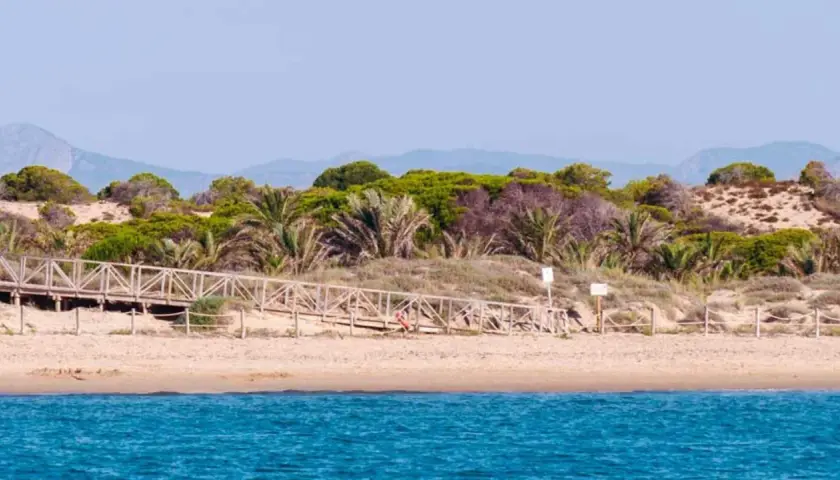 Pasarela de madera que sube a la vegetación dunar en la playa Los Tusales. El mar azul contrasta con la arena y las palmeras.