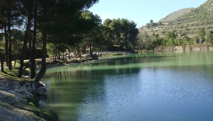 Tranquilo lago de aguas verdosas junto a un bosquete de pinos y una ladera con olivos. El bosquet de Moixent invita a la calma.