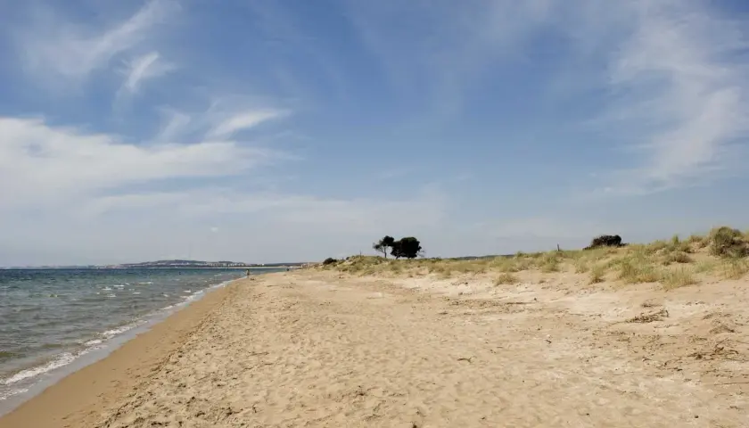 Arena dorada y mar azul en la playa el pinet, con dunas y pinos solitarios bajo un cielo nublado.