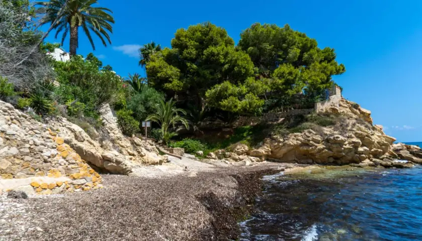 La cala nostra, con rocas doradas y vegetación exuberante, invita a la calma. El mar azul acaricia la orilla cubierta de algas.