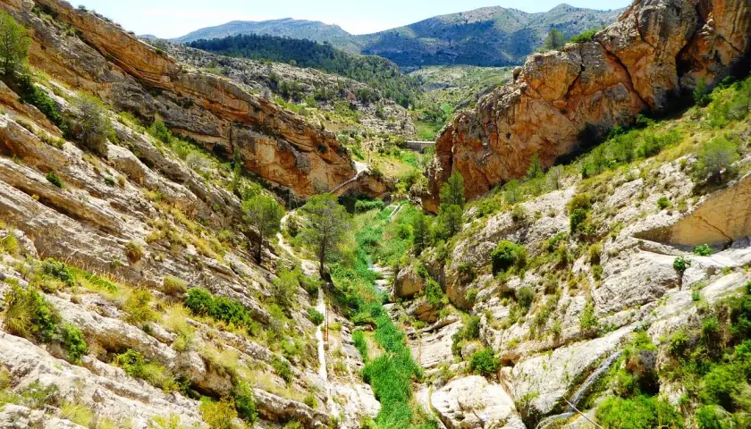 Un cañón rocoso con vegetación exuberante y un río serpenteante. El **pantano de Tibi** se revela en su esplendor natural, con formaciones geológicas impresionantes y un cielo azul claro.