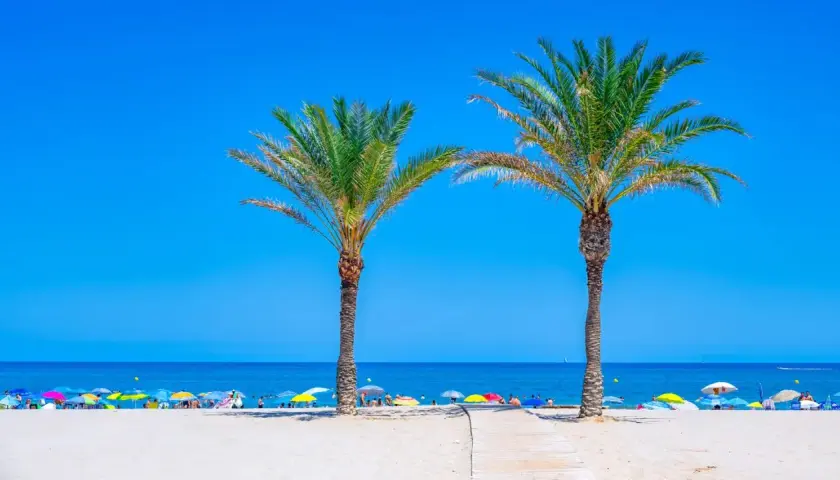 Dos palmeras flanquean un camino de madera hacia las playas de Costa Blanca, llenas de sombrillas y gente disfrutando del sol.