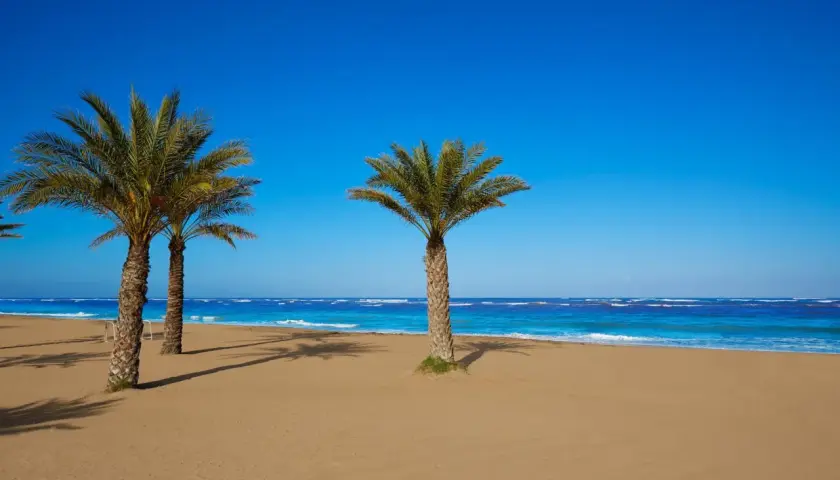 Palmeras en la arena dorada, mar azul turquesa y cielo despejado. Un paraíso que evoca las mejores playas de Dénia.