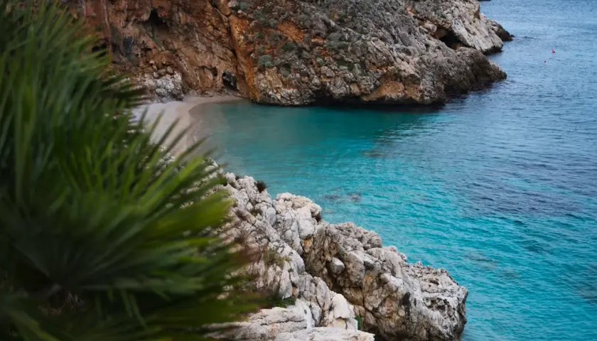 Una cala escondida en el mar de Jávea, con aguas turquesas y rocas escarpadas. Palmeras en primer plano añaden un toque exótico.