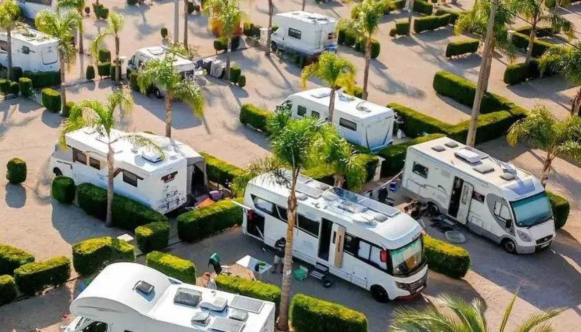 Un camping soleado en Xeraco con varias autocaravanas aparcadas entre palmeras y setos.