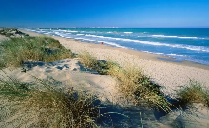 Playa Los Viveros, Guardamar - ¿Tu paraíso tranquilo?