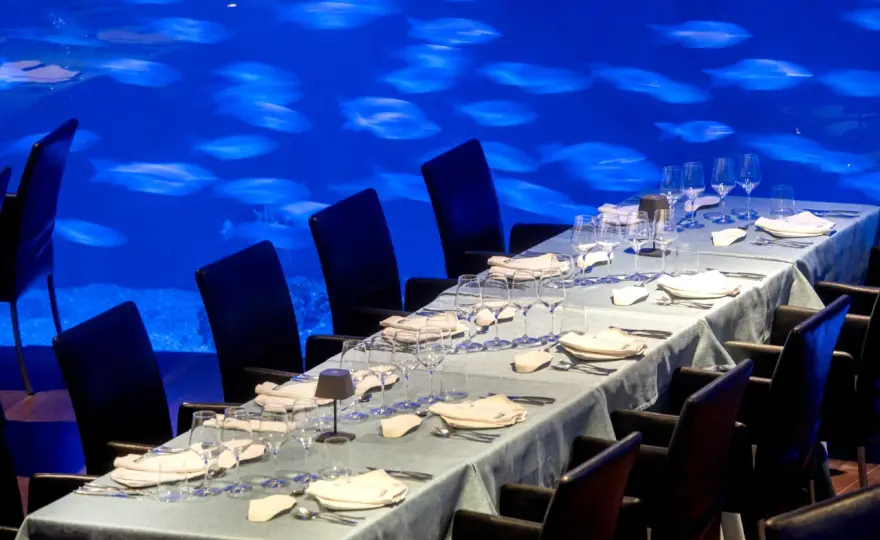 Dónde comer en el Oceanogràfic - Guía para no equivocarte