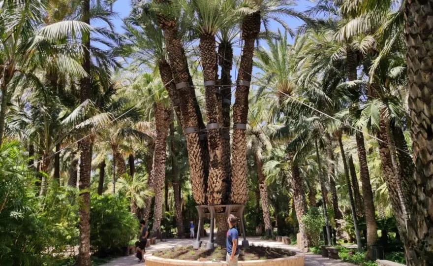 Parque Municipal Elche - Rutas, qué ver y cómo visitarlo