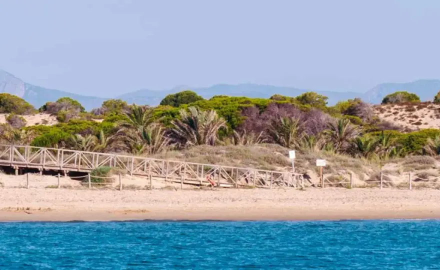 Los Tusales - Playa natural en Guardamar: Guía completa