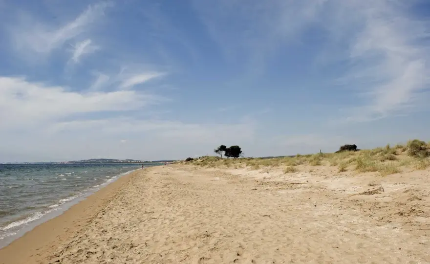 Playa El Pinet - Guía para disfrutar la calma y naturaleza