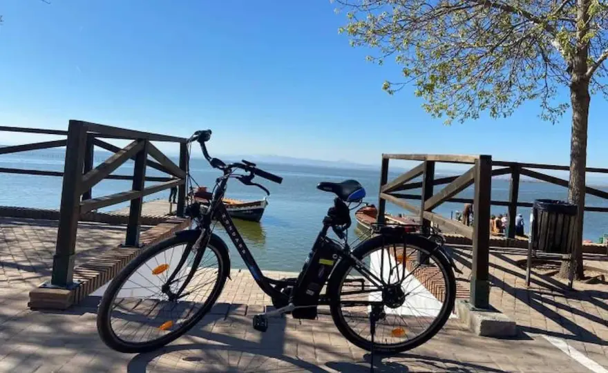 Rutas en bici por Valencia - Turia, playa y l'Albufera