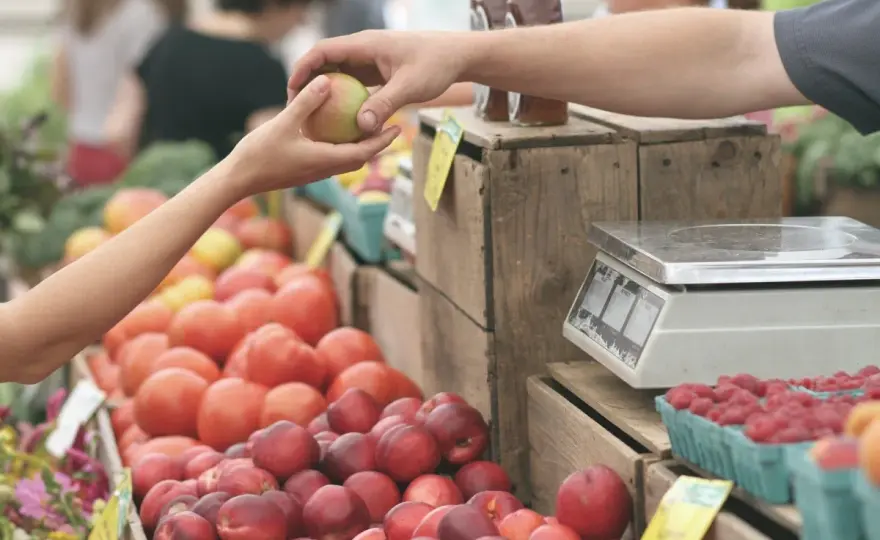 Mercado de Oliva - horarios, ubicación y qué comprar