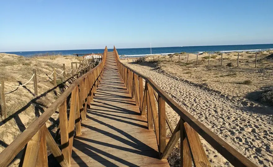 Playa del Campo Guardamar - Guía completa para tu visita
