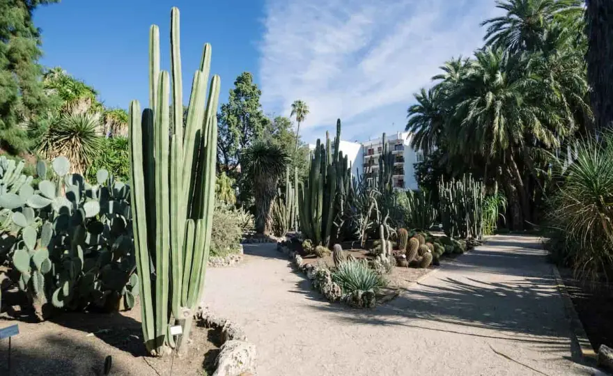 Jardín Botánico de Valencia - Tu guía completa para visitarlo