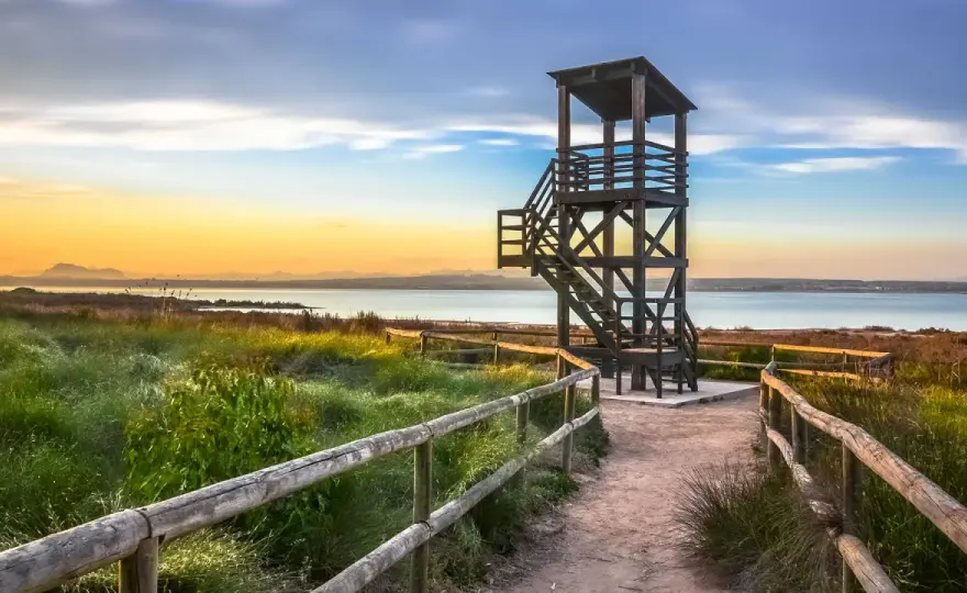 Lagunas de La Mata y Torrevieja - Guía para una visita perfecta