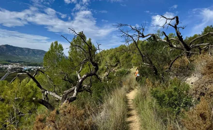 Puerto de la Vall de Pop - Guía de senderismo y ciclismo