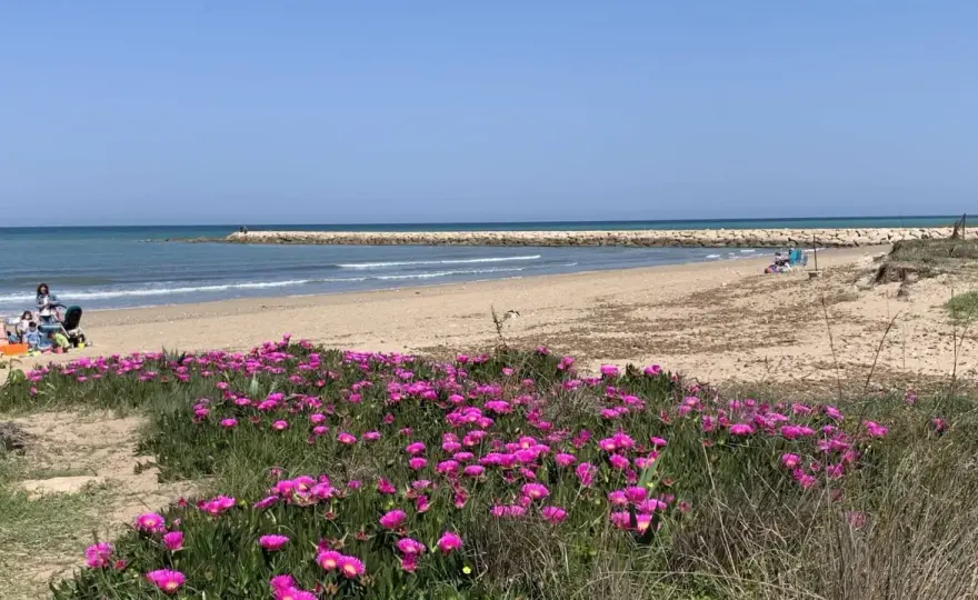 Playa Les Deveses Dénia - ¿Es tu playa ideal? Descúbrelo