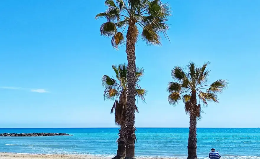 Playa del Cerezo Xilxes - ¿Es tu mejor opción?