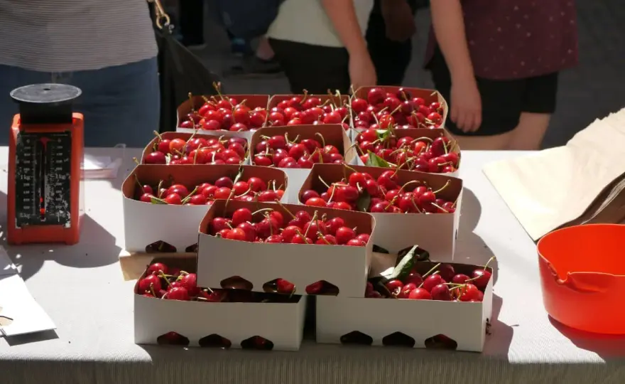 Fiesta de la cereza en Valencia - ¿Dónde y cómo disfrutarla?
