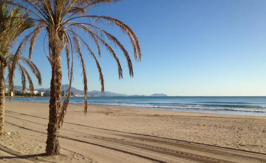 Playa Muchavista: Guía completa para un día perfecto en El Campello