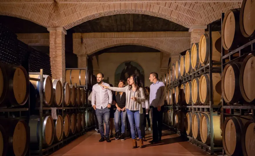 Cata en Alicante - Elige la experiencia perfecta